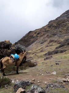 Che cos'è il trekking di Salcantay.